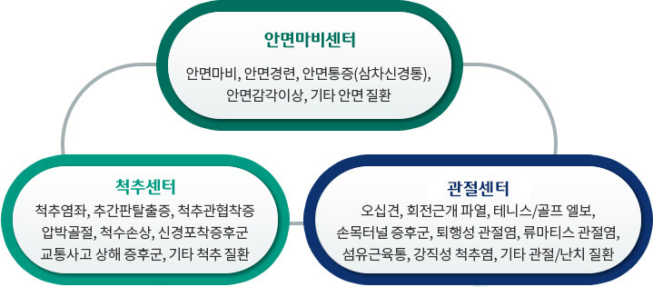 안면마비센터 : 안면마비, 안면경련, 안면통증(삼차신경통), 안면감각이상, 기타 안면질환//척추센터 : 척추염좌, 척추판탈출증, 척추관협착증, 압박골절, 척수손상, 신경포착증후군, 교통사고 상해 증후군, 기타 척추질환//관절센터 : 오십견, 회전근개 파열, 테니스,골프 엘보, 손목터널 증후군, 퇴행성 관절염, 류마티스 관절염, 섬유근육통, 강직성 척추염, 기타 관절,난치 질환